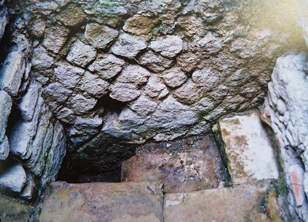 Ins. Orientalis II.8/9, Herculaneum. Excavation of latrine in upper floor apartment.
Photo with kind permission of Prof. Andrew Wallace-Hadrill.
See Wallace-Hadrill, A. (2011). Herculaneum, Past and Future. London, Frances Lincoln Ltd., (p.275).